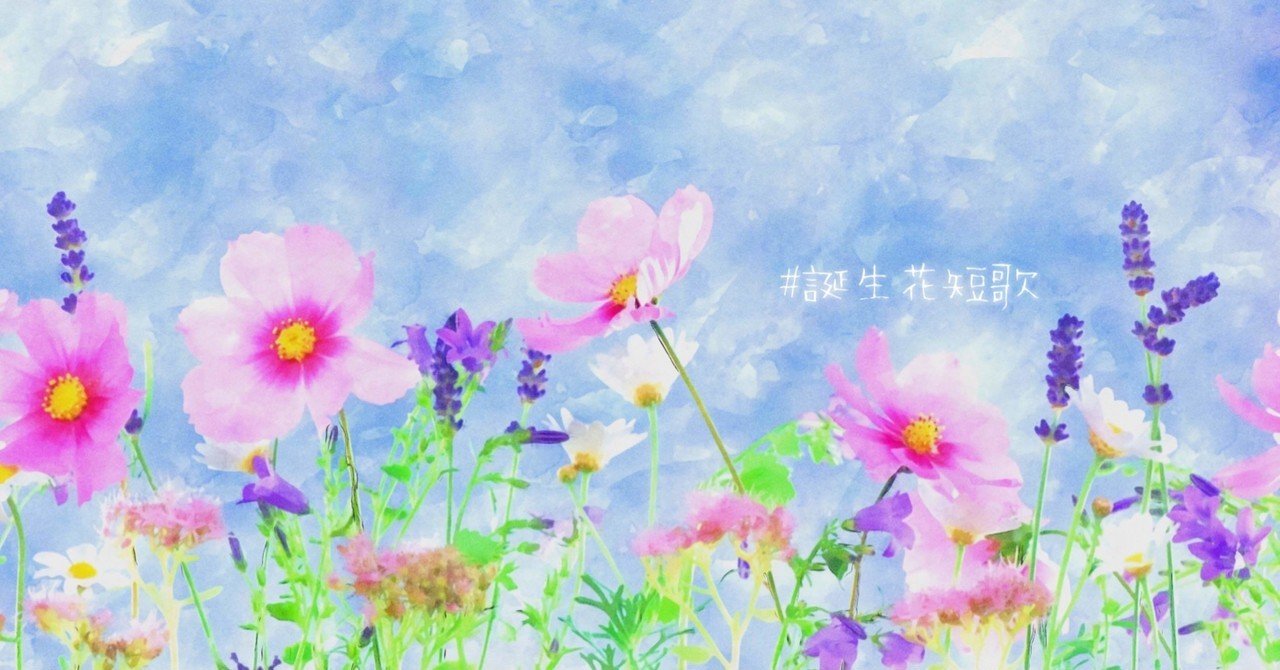 9月27日 誕生花は秋桜 誕生花短歌 御子柴 流歌 Note