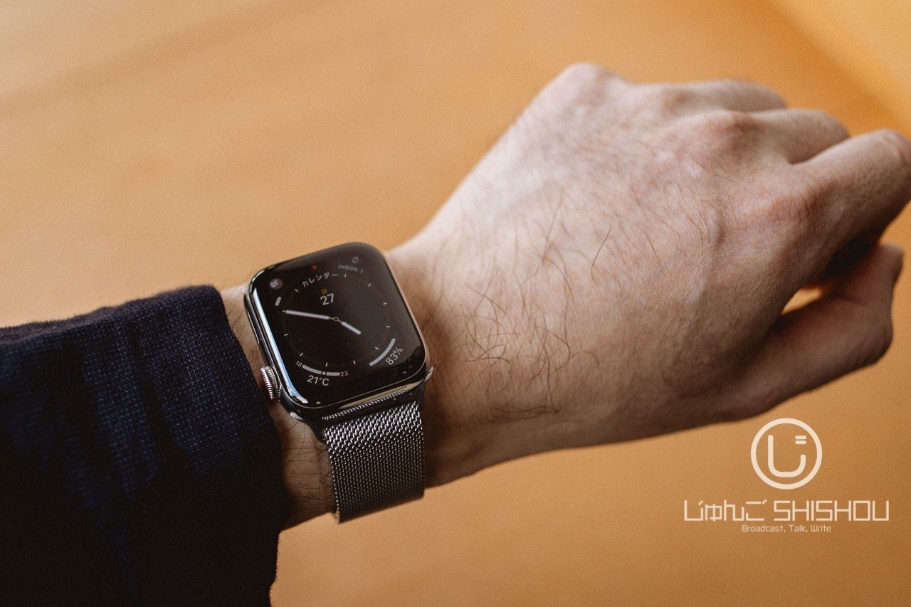Apple Watch Series 6 40mmシルバーステンレス ミラネーゼ-