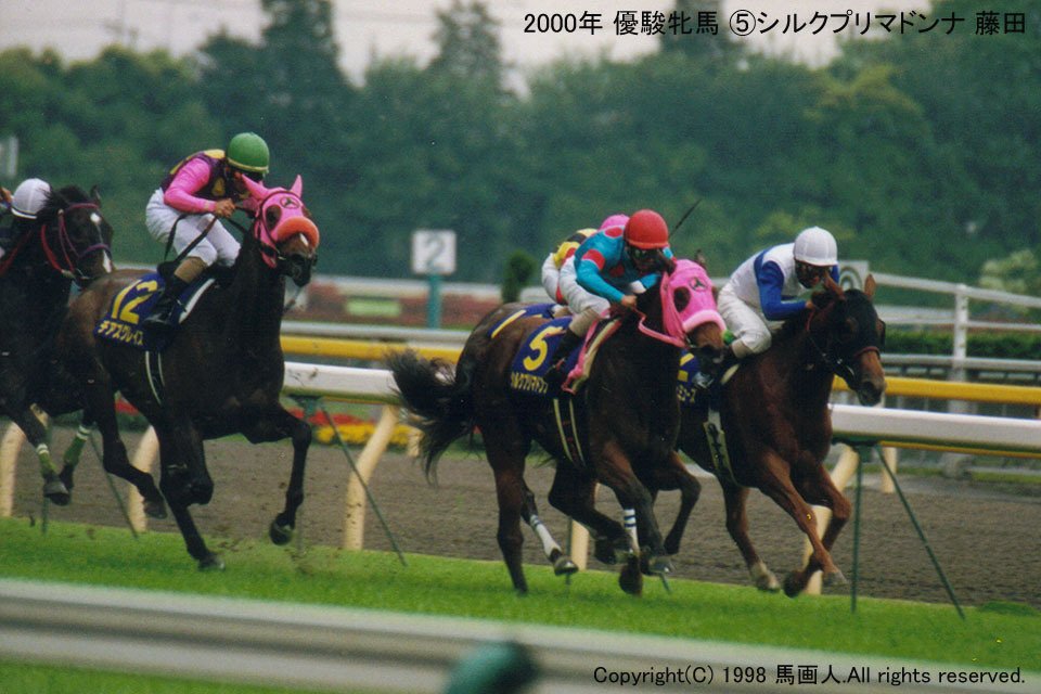 優駿牝馬 Oaks 蔵出し写真４ 00年 シルクプリマドンナ 馬画人 まがじん Note