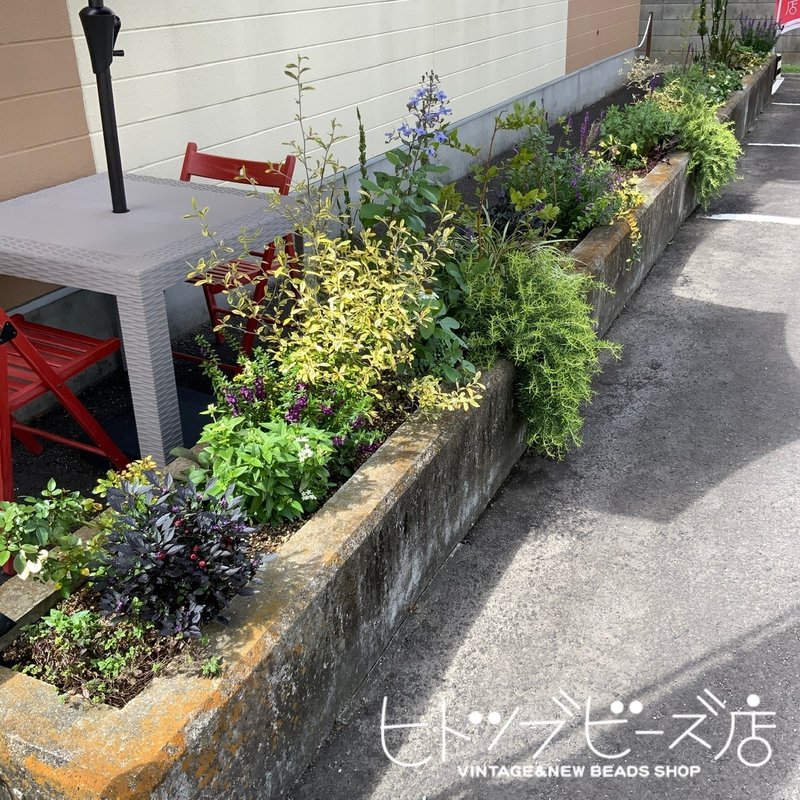 水やり歴2年目 ヒトツブビーズ店店主 Note