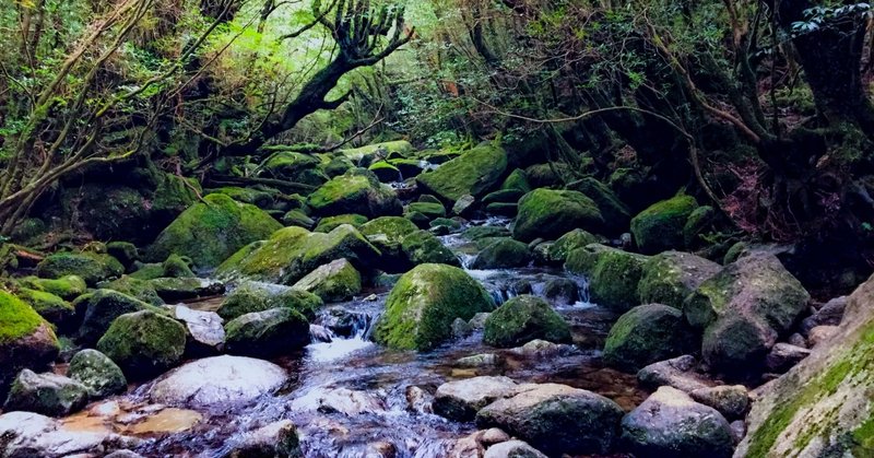 もののけ姫への重い愛 強い思い入れ 鮎 Note もののけ姫への重い愛 強い思い入れ 鮎 Note