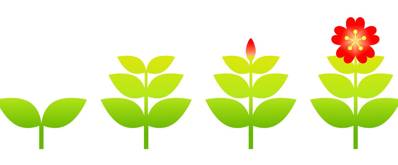 たえず成長しているという実感は モチベーションや自信を生む 大切な源なのです フジ 趣味ブロガー Note