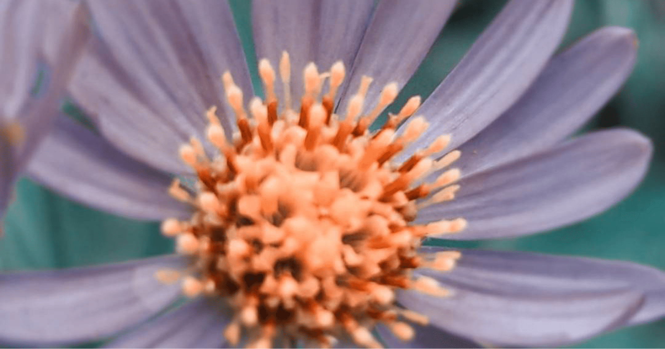 言ってしまった言葉の後悔 心理カウンセラー 奥園 清香 Note