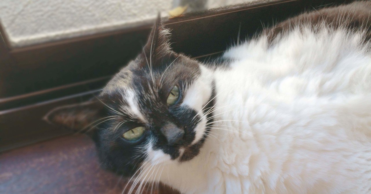 タキシード猫 の定番タグ記事一覧 Note つくる つながる とどける