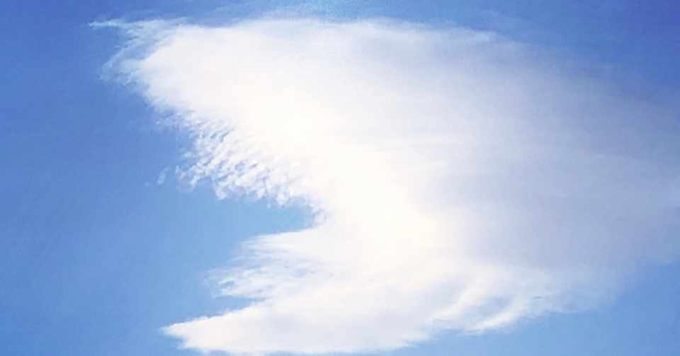 今この瞬間 幸せになる方法 Mommy N Note