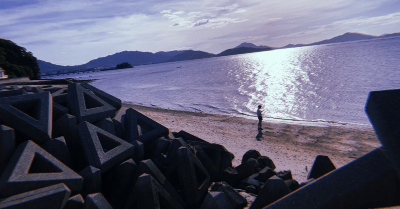 窮鼠はチーズの夢を見る ミジンコ note