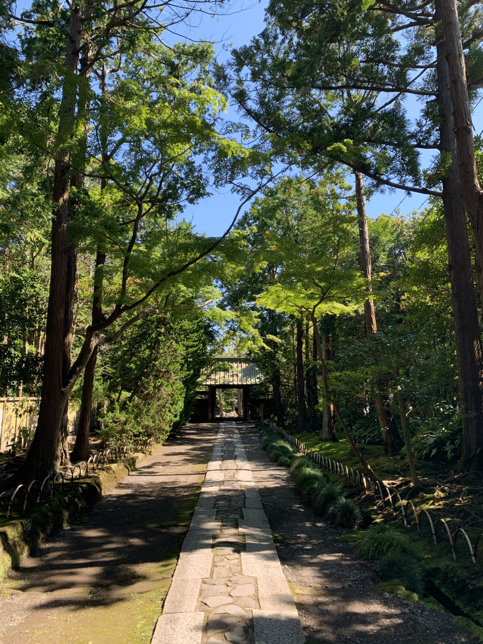 壽福寺 清々しい景色 ミクジ Note 壽福寺 清々しい景色 ミクジ Note