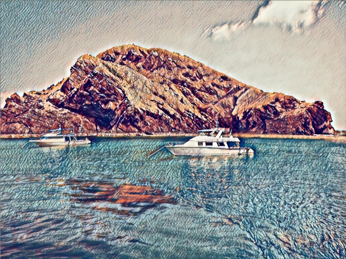 画像4