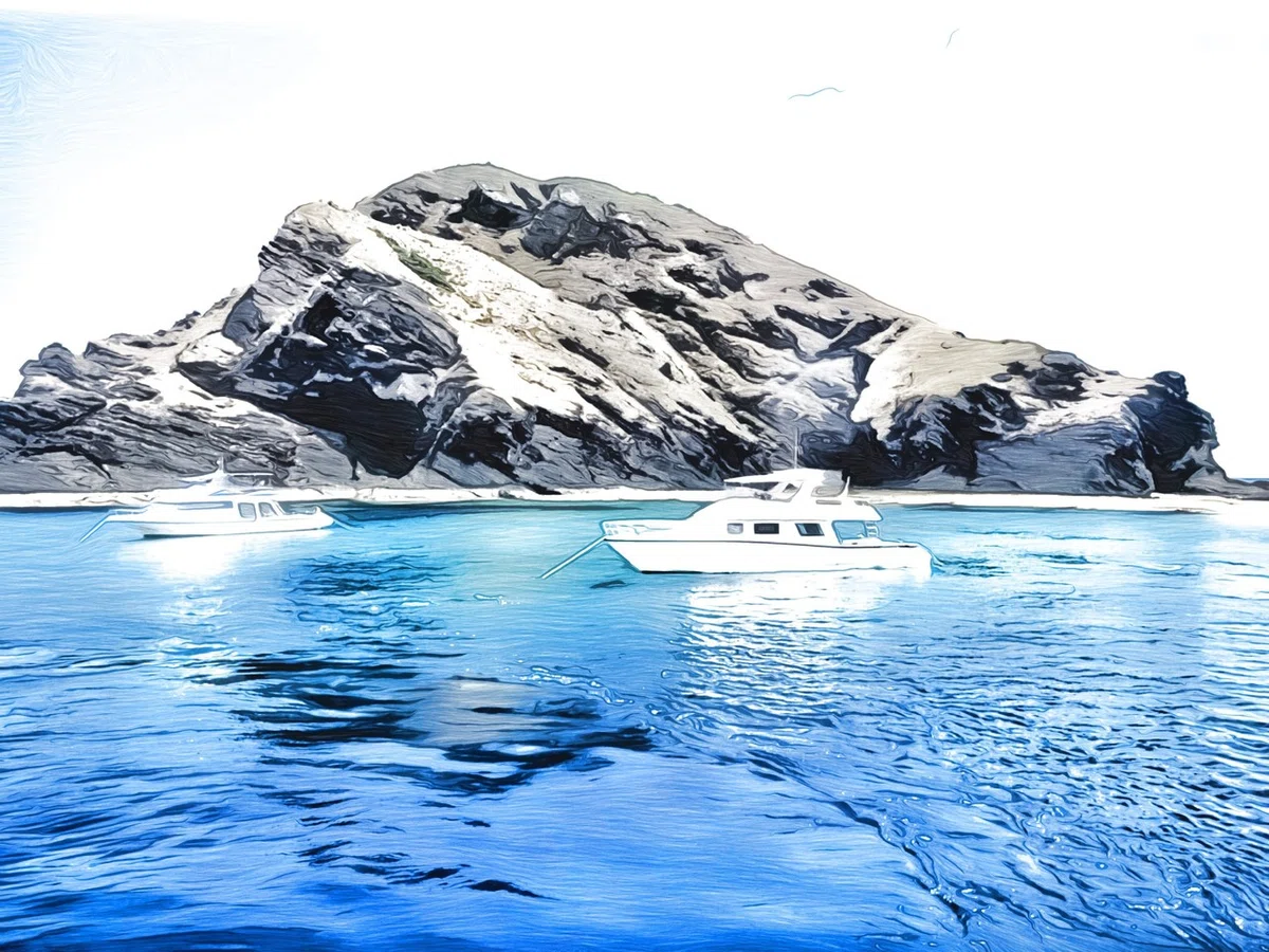 画像5