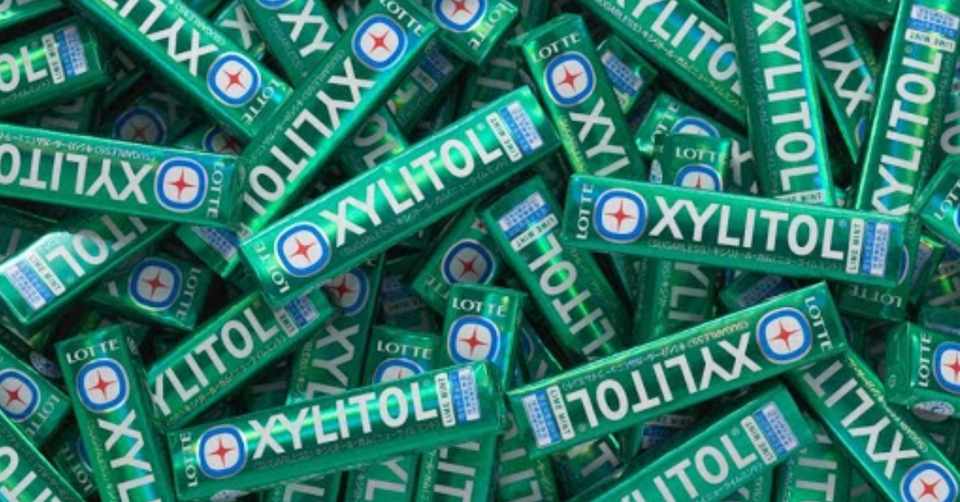 ロッテキシリトールガムのデザインの驚きの仕組み Grand Design Tokyo Note