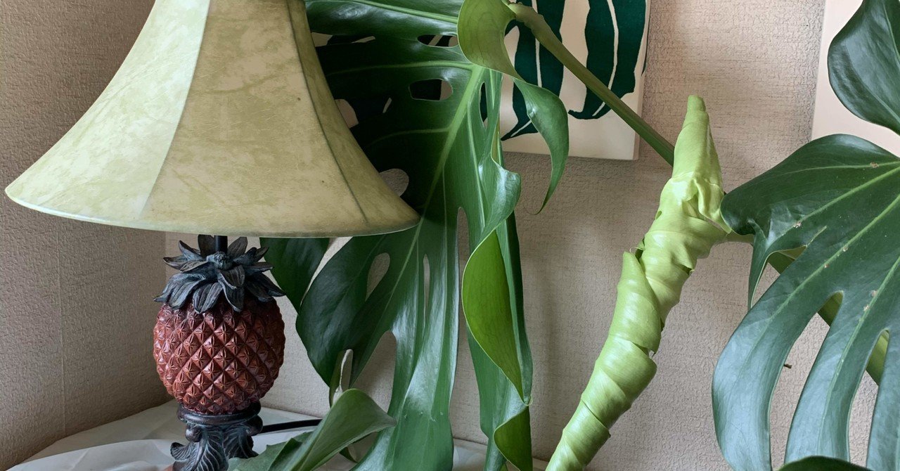 クリーニングツール の新着タグ記事一覧 Note つくる つながる とどける クリーニングツール の新着タグ記事一覧 Note つくる つながる とどける