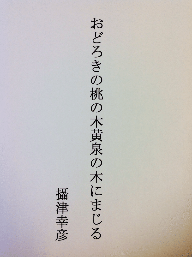 自在なる前衛の天才俳人攝津幸彦の世界 星屋心一 Note