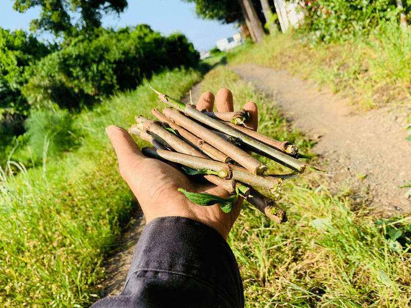 日本素材のジャパニーズトニックウォーター Bar Benfiddich 鹿山博康 Note