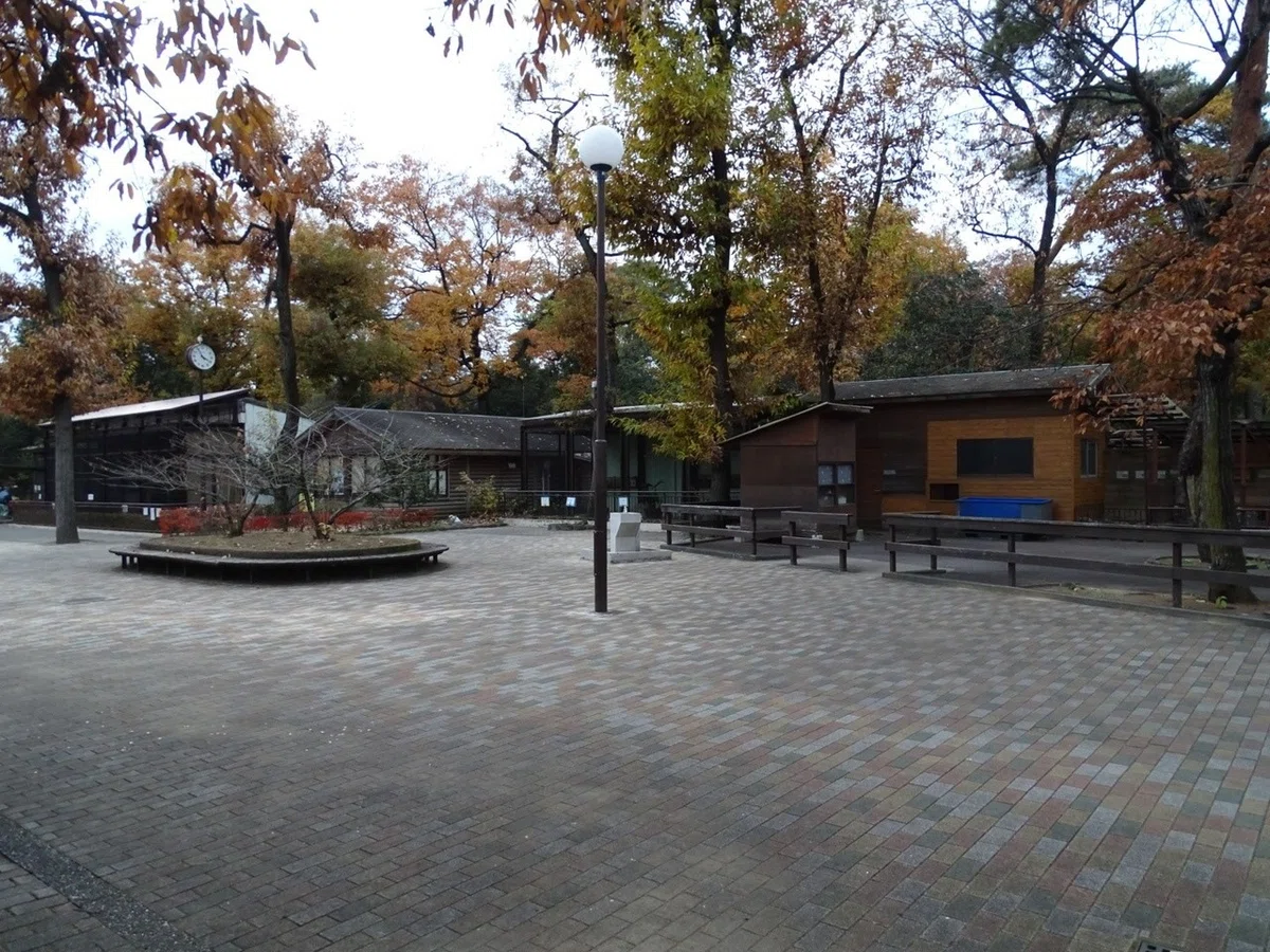 画像9
