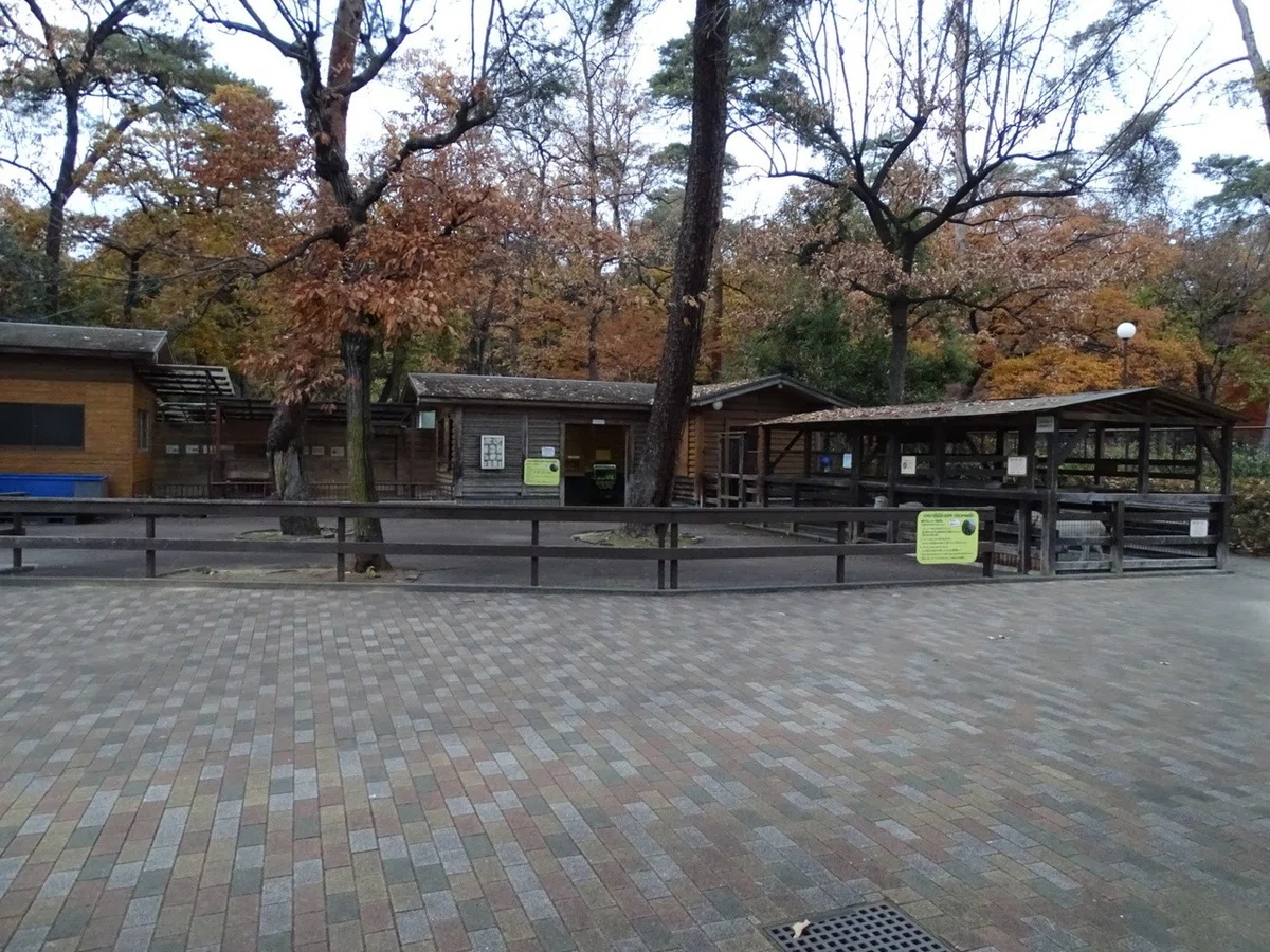 画像10