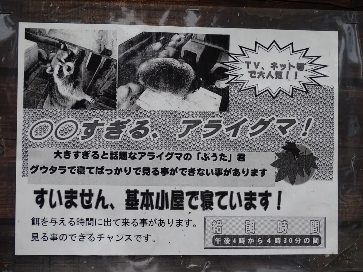 画像12