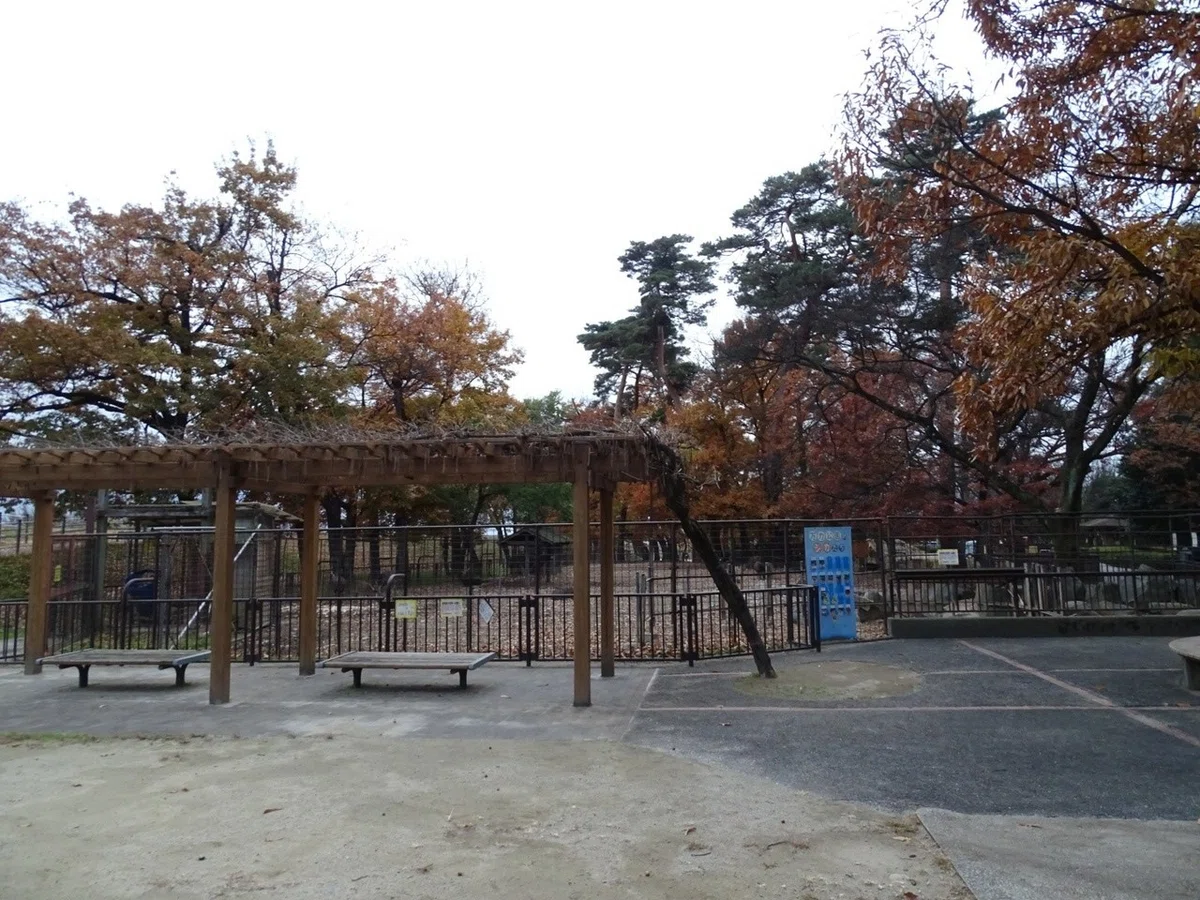 画像13