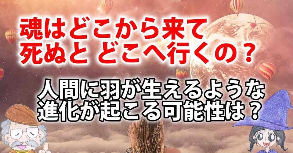 自分の魂はどこから来て死んだらどこへ行くの 魂と輪廻転生 生まれ変わり について ひなっち Pスタイル ひなたひでとし Note