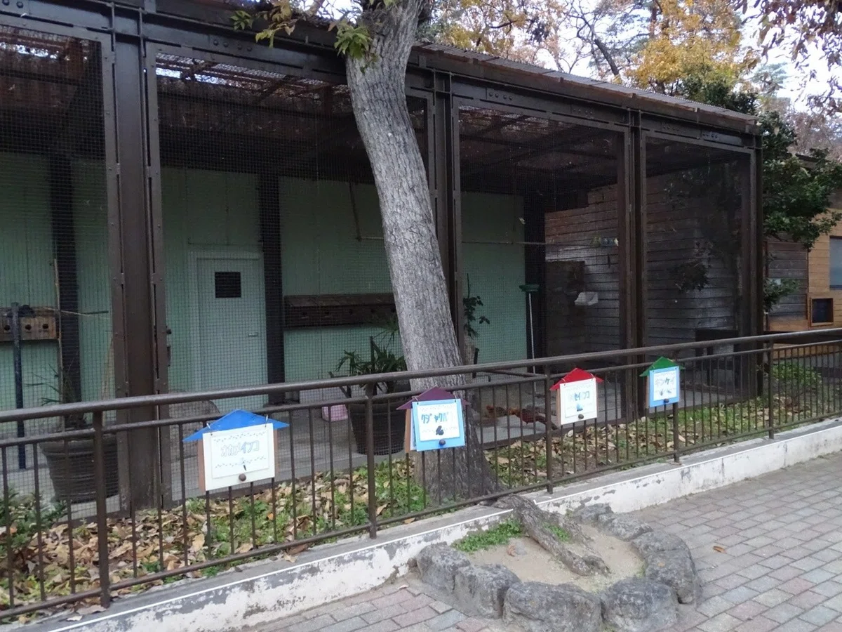画像22