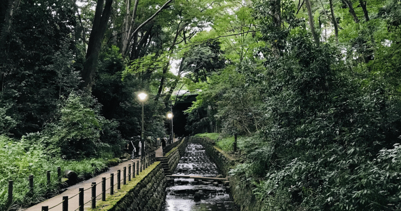 コロナウイルス騒動で感じていること(24)