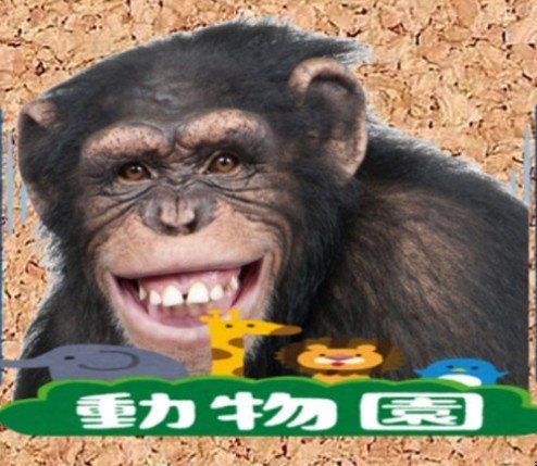 消せない過去 大人気ユーチューバー まいぜんシスターズ の真っ黒すぎる信じられない過去と炎上の真相に迫る キンチャン Note