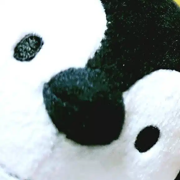 ぺんちゃん