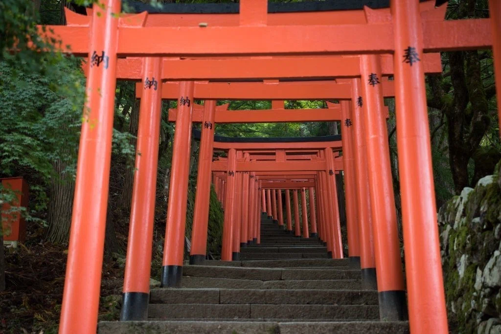 画像19