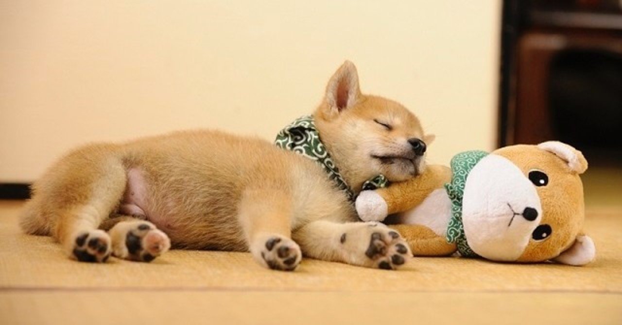 Discord音楽bot導入について Xian Note