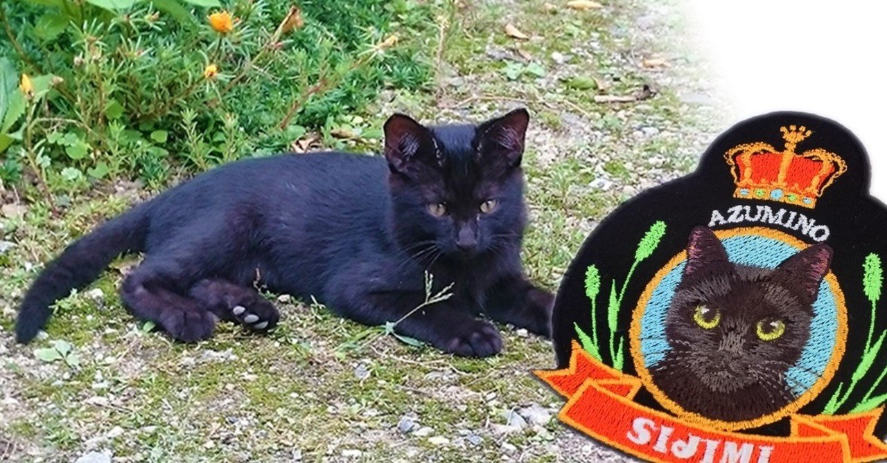 猫のエンブレムを紹介します｜ajico*猫の刺繍小物《コイトネコ》