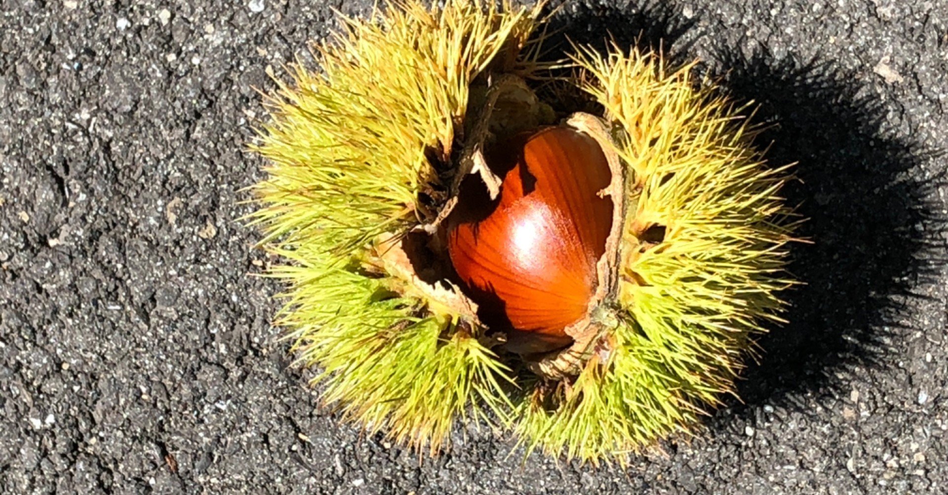 びっくりくりくりくりっくり はつなぎ Note びっくりくりくりくりっくり はつなぎ Note