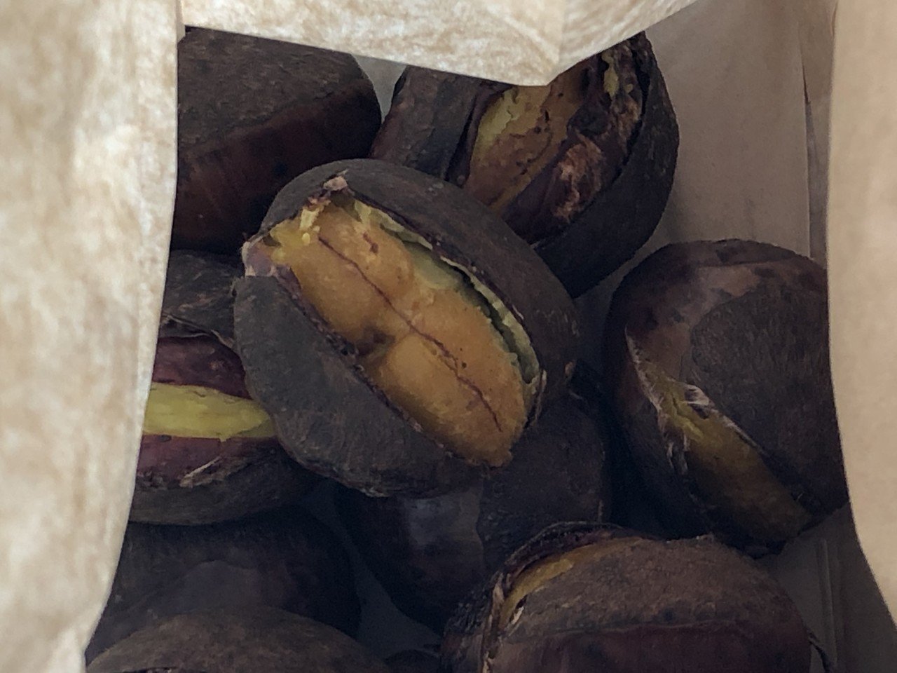 びっくりくりくりくりっくり はつなぎ Note びっくりくりくりくりっくり はつなぎ Note