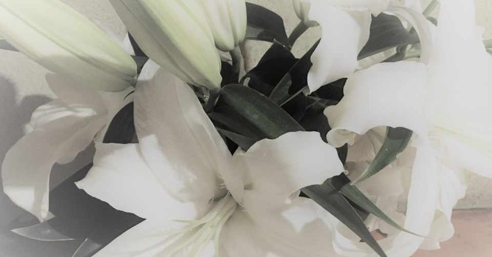 テレパシー通信を介しての女神イシスからの啓示 アンナマリー Note