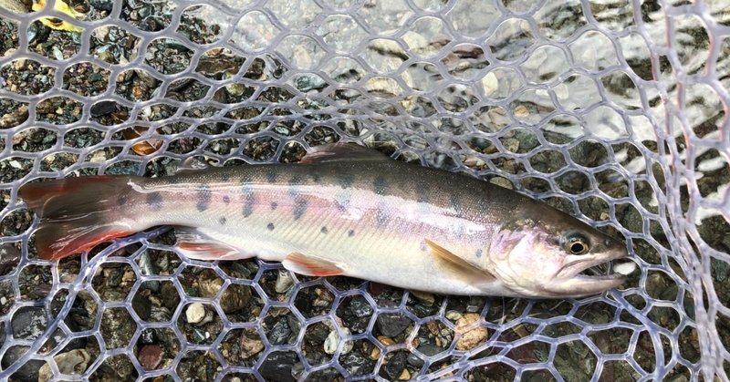 釣りってどーせ暇でしょ 僕は大バカ野郎だった Taku 読書 継続 Note