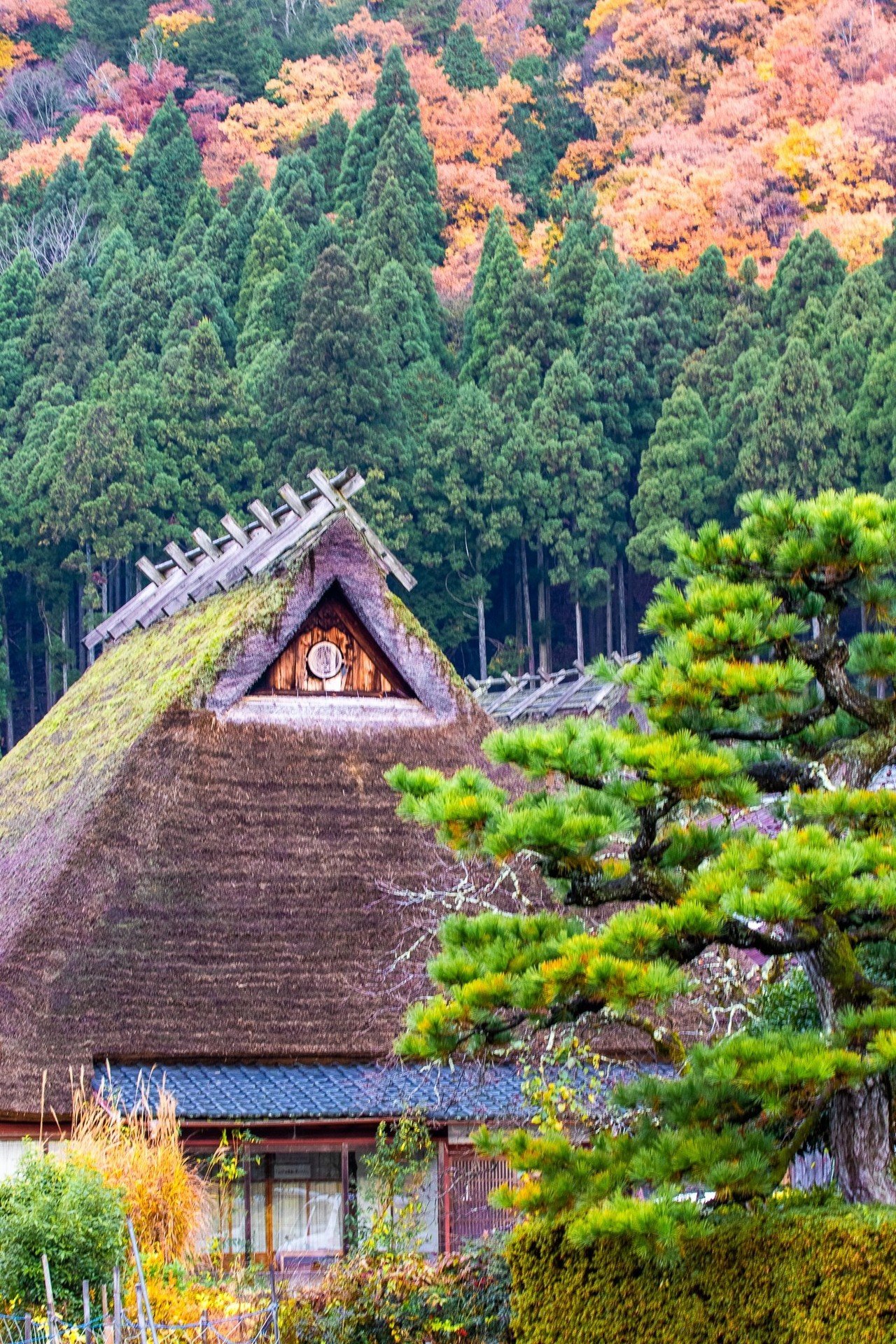 日本の原風景かやぶきの里美山｜