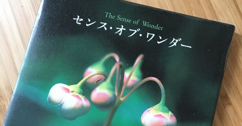 元 超絶繊細少女だった私から繊細少年g君へ レイチェル カーソン センス オブ ワンダー 愛と畏敬の世界への招待 越水玲衣 Note