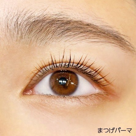まつげパーマの人気の秘密 現在エクステンションに並び 人気急上昇中のまつげパーマ Venuslash Note まつげパーマの人気の秘密 現在エクステンションに並び 人気急上昇中のまつげパーマ Venuslash Note