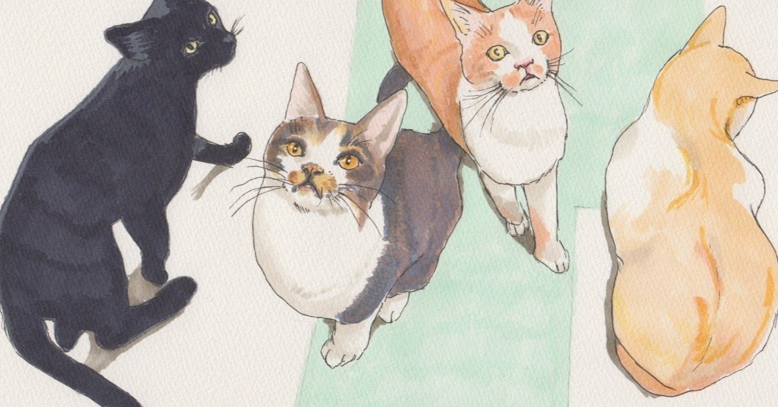 秋の夜長に面白い猫マンガいかがでしょう ネコのヒゲ Note 秋の夜長に面白い猫マンガいかがでしょう ネコのヒゲ Note