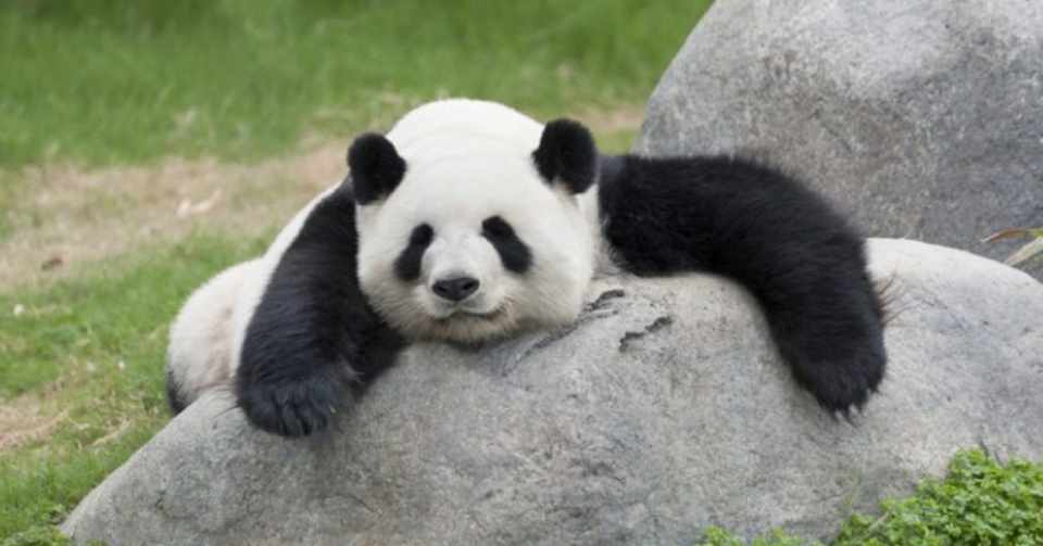 ブラックとホワイト 谷大輔 Note