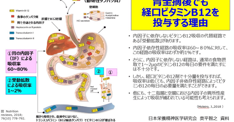 胃全摘後でも経口ビタミンB12投与は有用