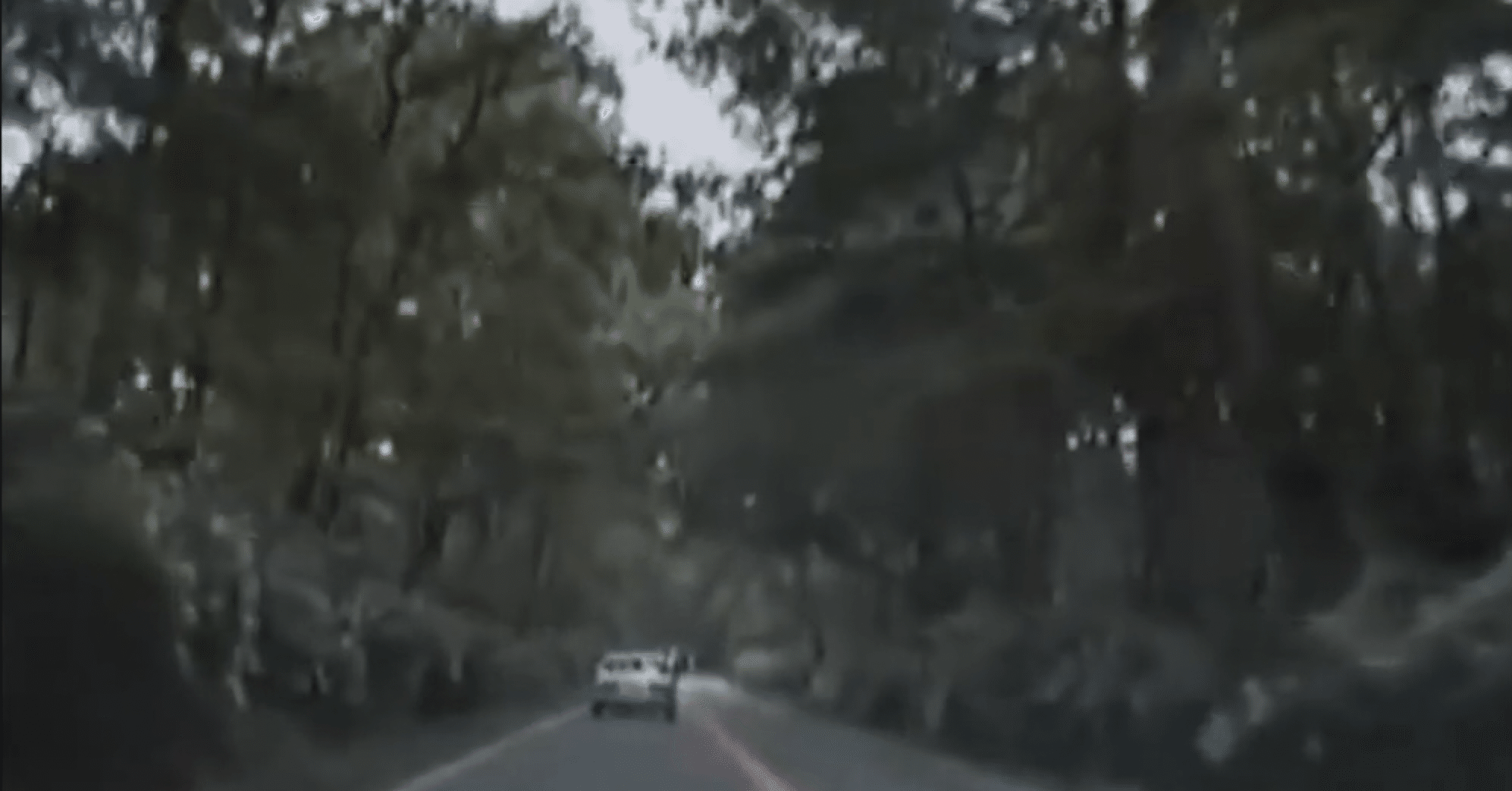 忌魅恐 叫ぶ子供の夢 犬鬼ごっこの子供たち 配電盤 Note