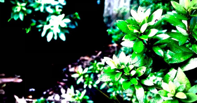 恋人がいても結婚しても孤独な人は孤独 楽しい人は楽しい 問題は他人にはない 自分だ 金子将昭 毎日ジャズピアニスト note