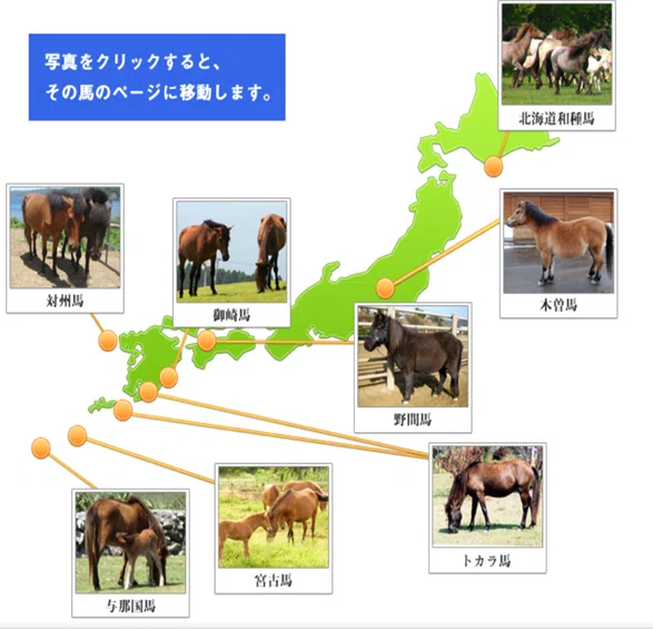 対馬には馬がいる①【日本在来馬について】｜吉原