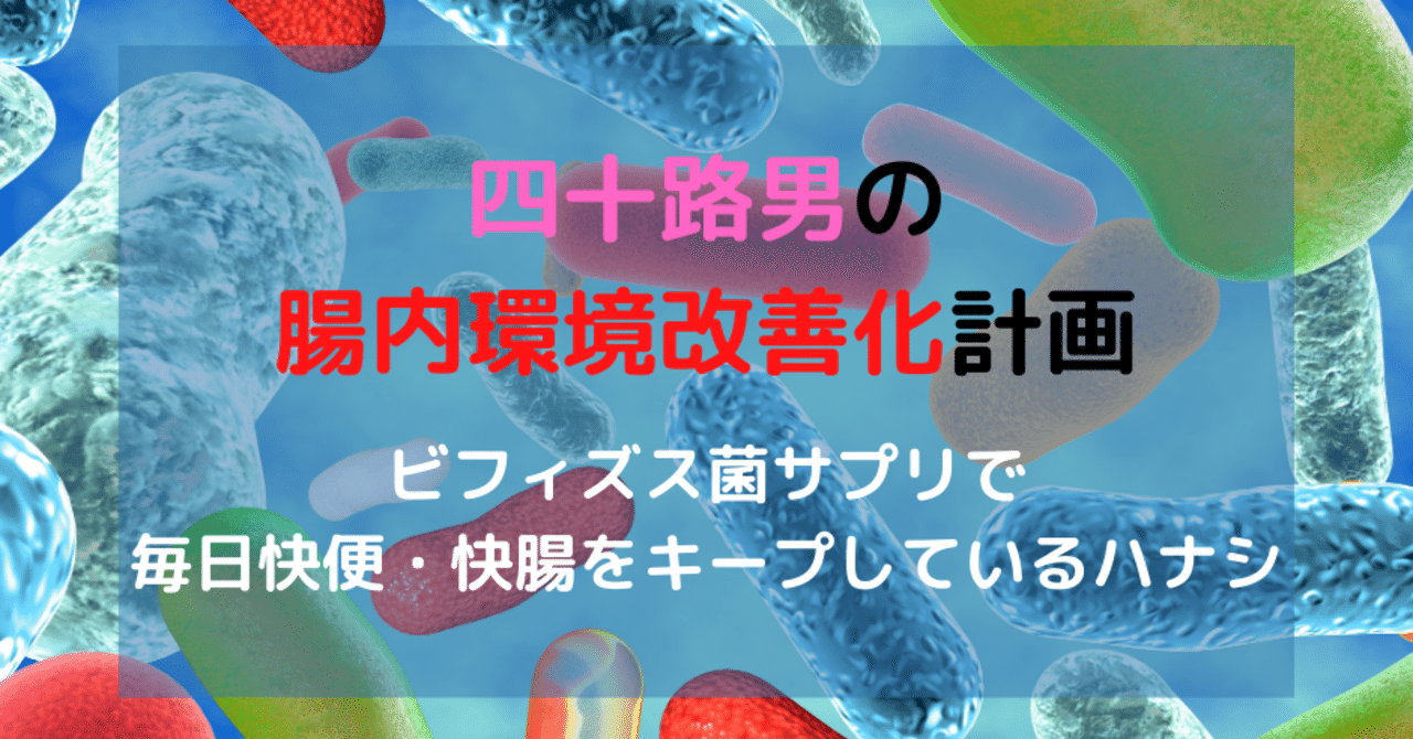 四十路男の腸内環境改善化計画 ビフィズス菌サプリで毎日快便 快腸をキープしているハナシ T A Financial Management Note