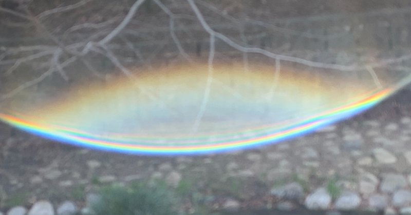 きれいな羊水ときれいな赤ちゃん Gusyo Emi Note