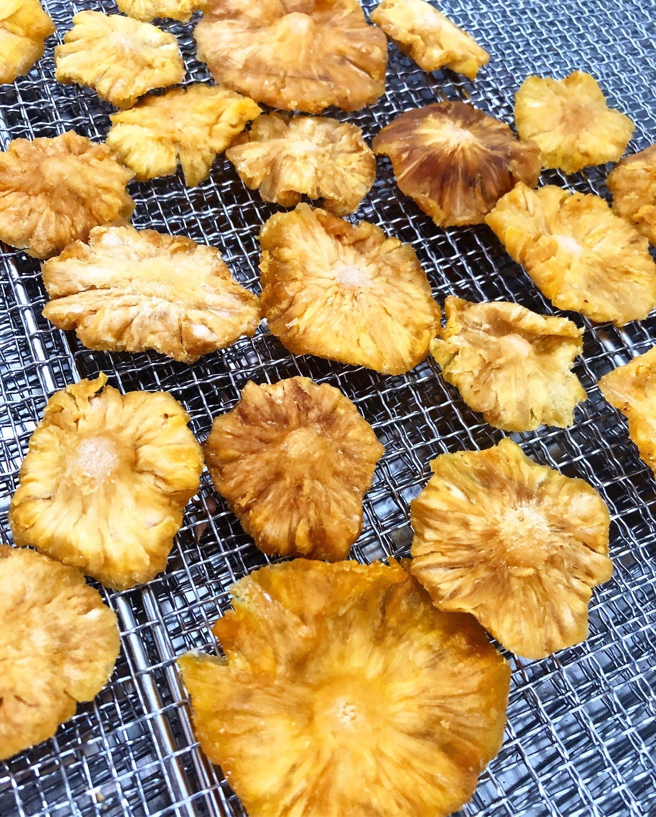 ドライパイナップル も作りました ミニパイナップル です チェンライ産で芯まで全部食べられるのでドライにして美味しいと思って乾燥させるとやはり美味しいです 栄養もタップリある感じで噛めば噛むほど甘みが出て Uwan モリンガ栽培と物作り Note ドライパイナップル も作りました ミニパイナップル です チェンライ産で芯まで全部食べられるのでドライにして美味しいと思って乾燥させるとやはり美味しいです 栄養もタップリある感じで噛めば噛むほど甘みが出て Uwan モリンガ栽培と物作り Note