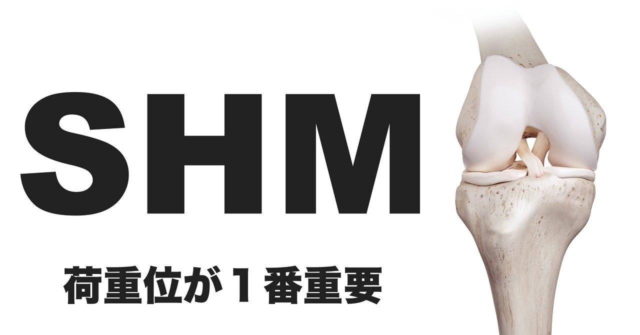 SHMメカニズムは荷重位が1番重要！｜薬師寺偲【理学療法士
