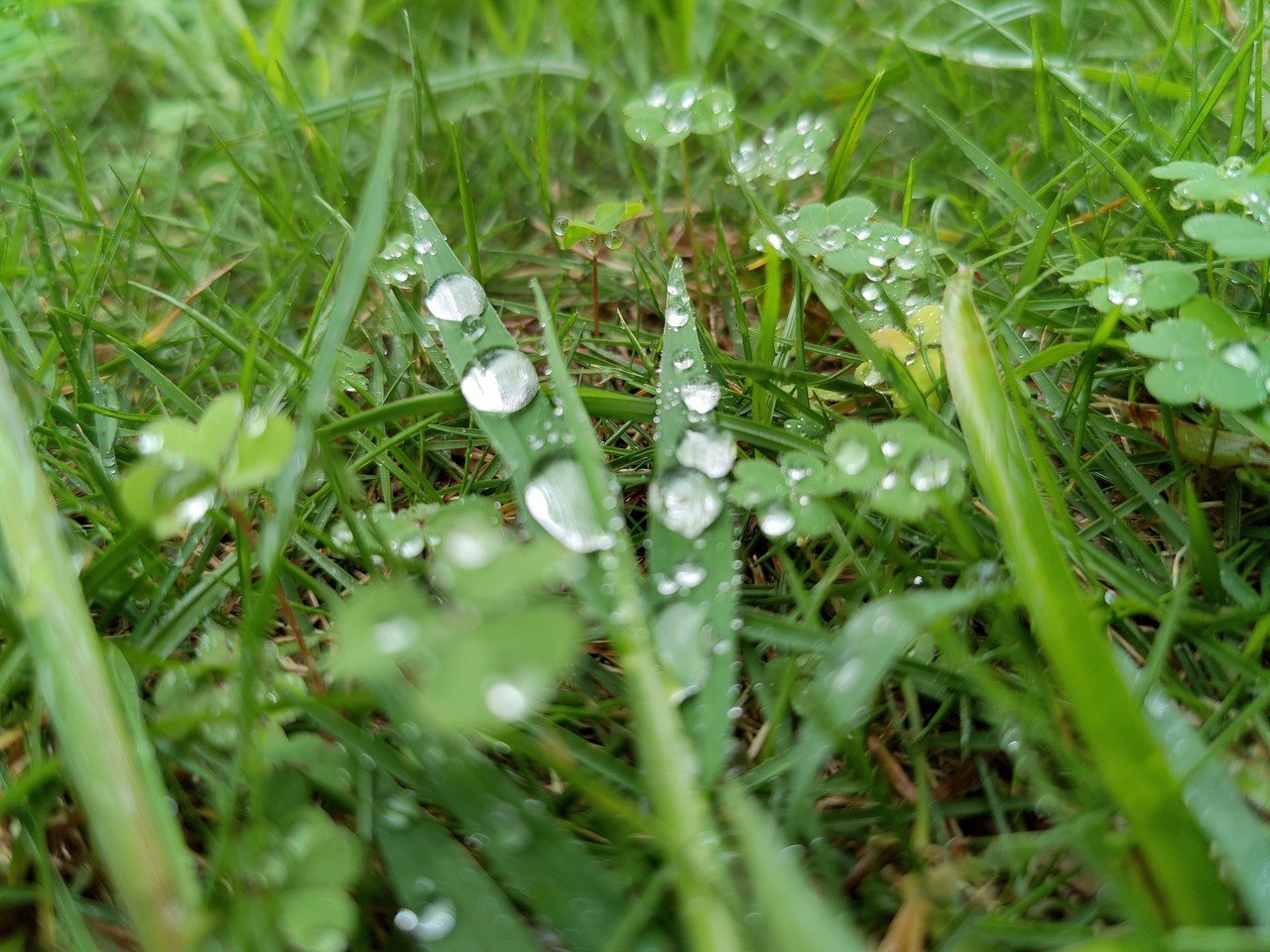 秋の心地よい雨上がりです 草木が水を飲んで生き生きしています 私は雨の日が好きです 洗濯ものは乾きませんが笑 ゆきみ 栄養学勉強中 Note
