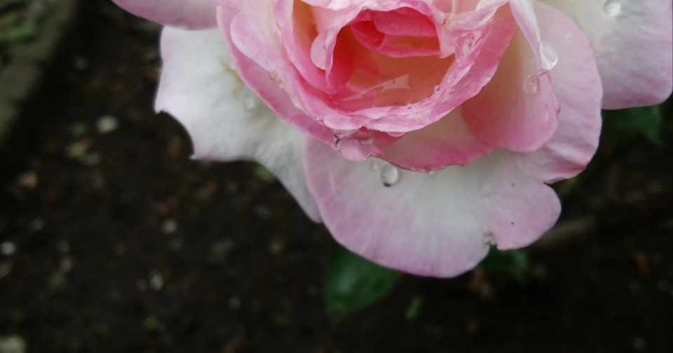 名言との対話 9月29日 佐藤しのぶ いつも 自己ベストを出すことが私の目標だ 久恒 啓一 Note