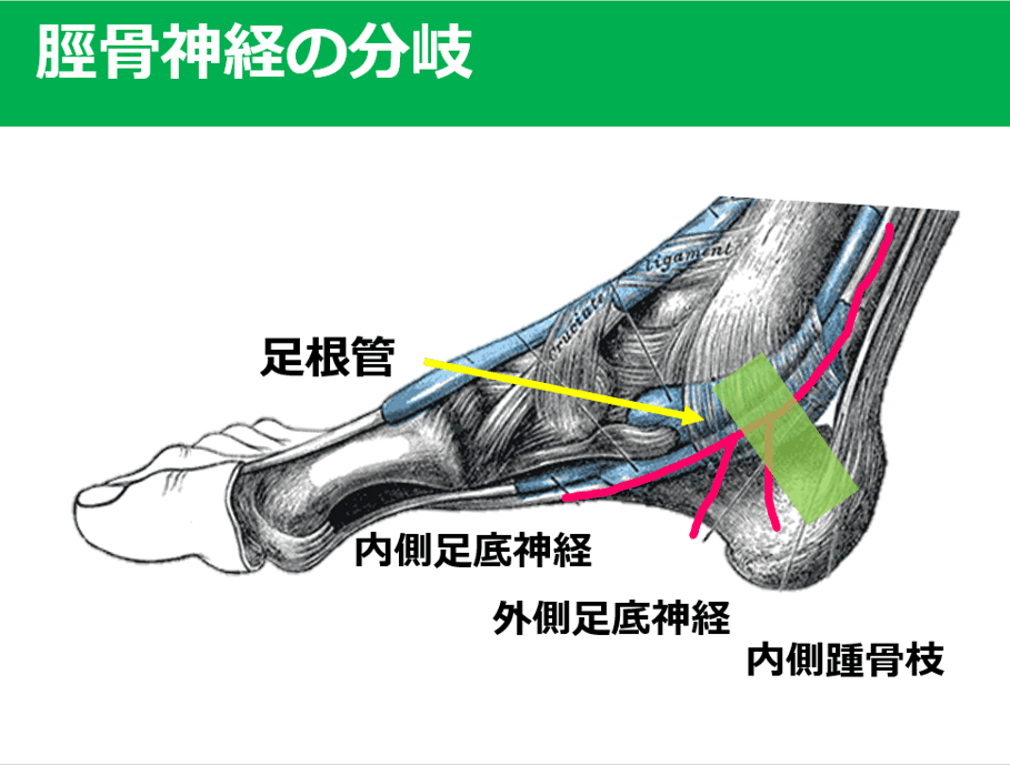 図6