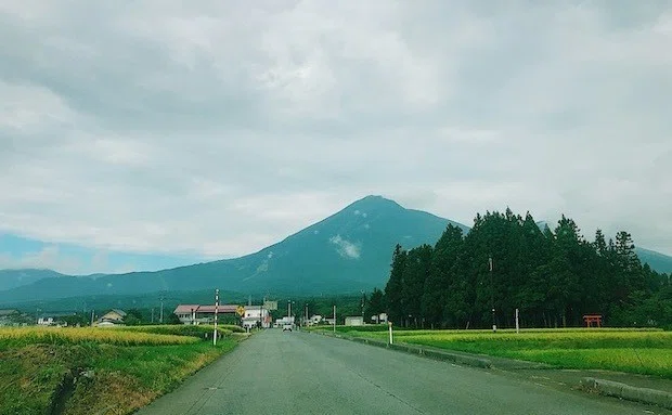 画像5